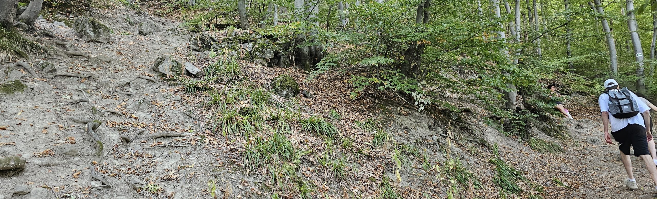 למה בעלי עסקים בטוחים שהבעיה שלהם היא שיווק, כשבפועל ערך הלקוח השתנה